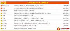 2013中国涂料十大品牌榜中榜揭晓